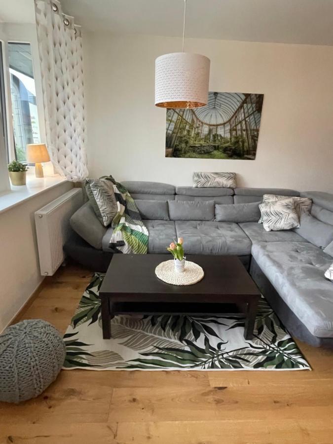 וינה Mollart Apartment מראה חיצוני תמונה